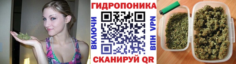 hydra   сайты даркнета какой сайт  Бошки Шишки SATIVA & INDICA  Благодарный 